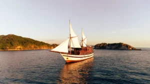 Komodo Cruise | Komodo Island | Share Trip Komodo | Private trip Komodo | Tour Komodo | Phinisi