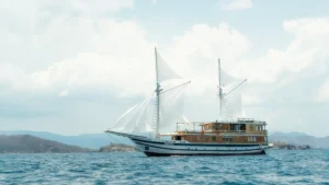 Komodo Cruise | Komodo Island | Share Trip Komodo | Private trip Komodo | Tour Komodo | Phinisi