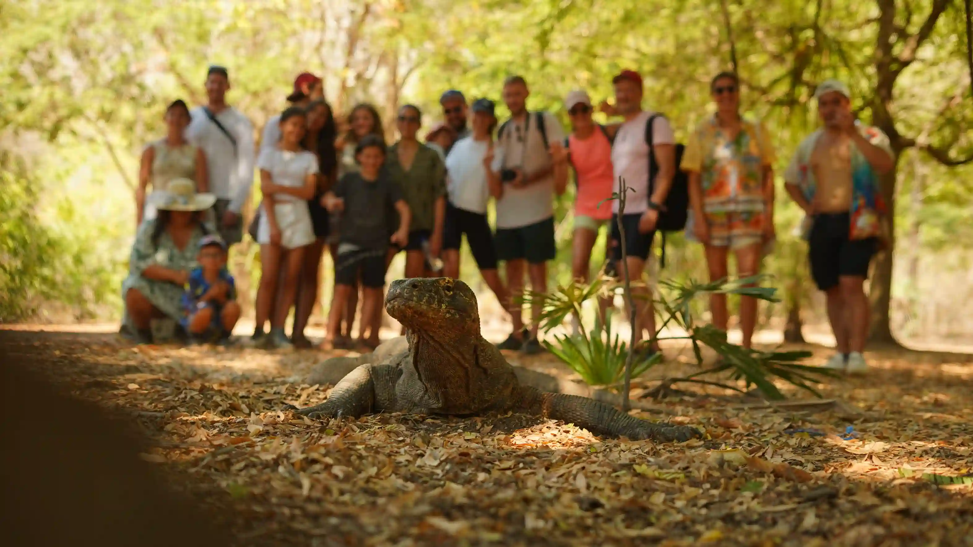 Meet Nadia Wirasena — Komodo Cruise Specialist