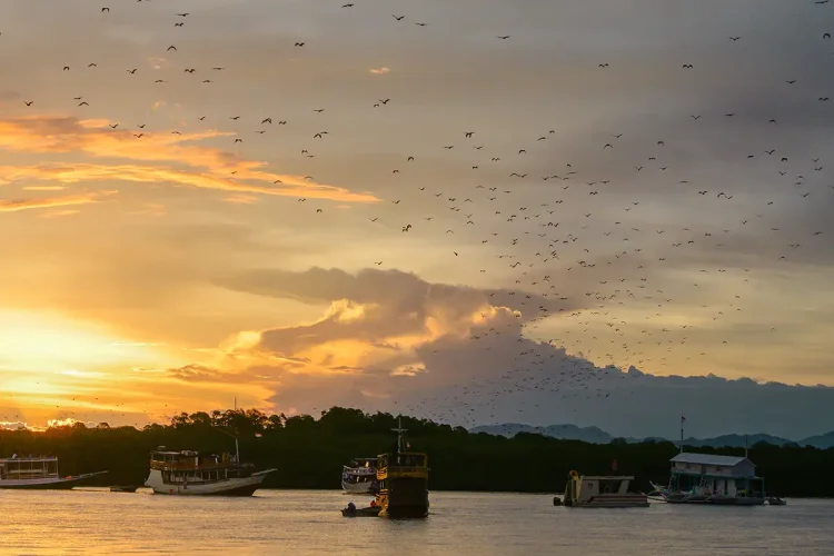 Komodo Cruise | Komodo Island | Share Trip Komodo | Private trip Komodo | Tour Komodo | Phinisi